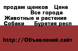 продам щенков › Цена ­ 15 000 - Все города Животные и растения » Собаки   . Бурятия респ.